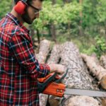 What are the best chainsaws for the money?
