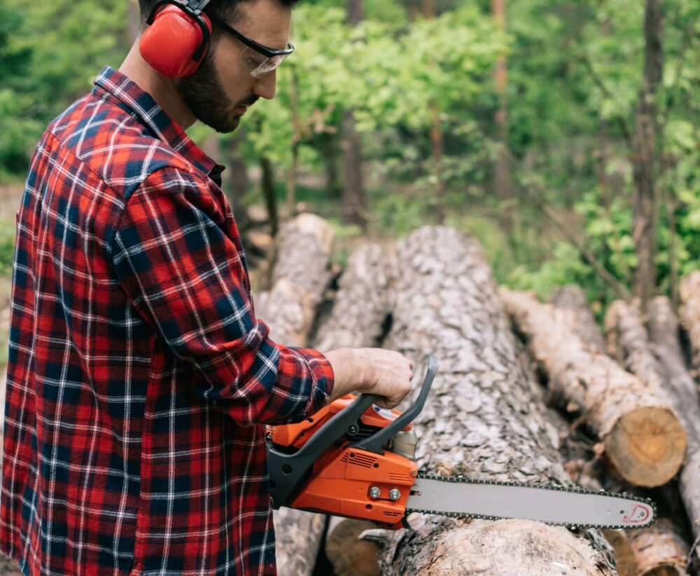 What are the best chainsaws for the money?